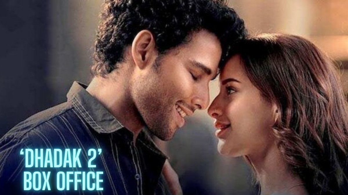 Dhadak 2 is performing at the box office so far